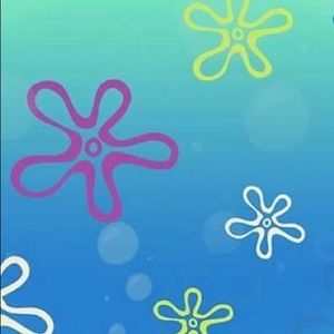 Meet your Posher, Leiah